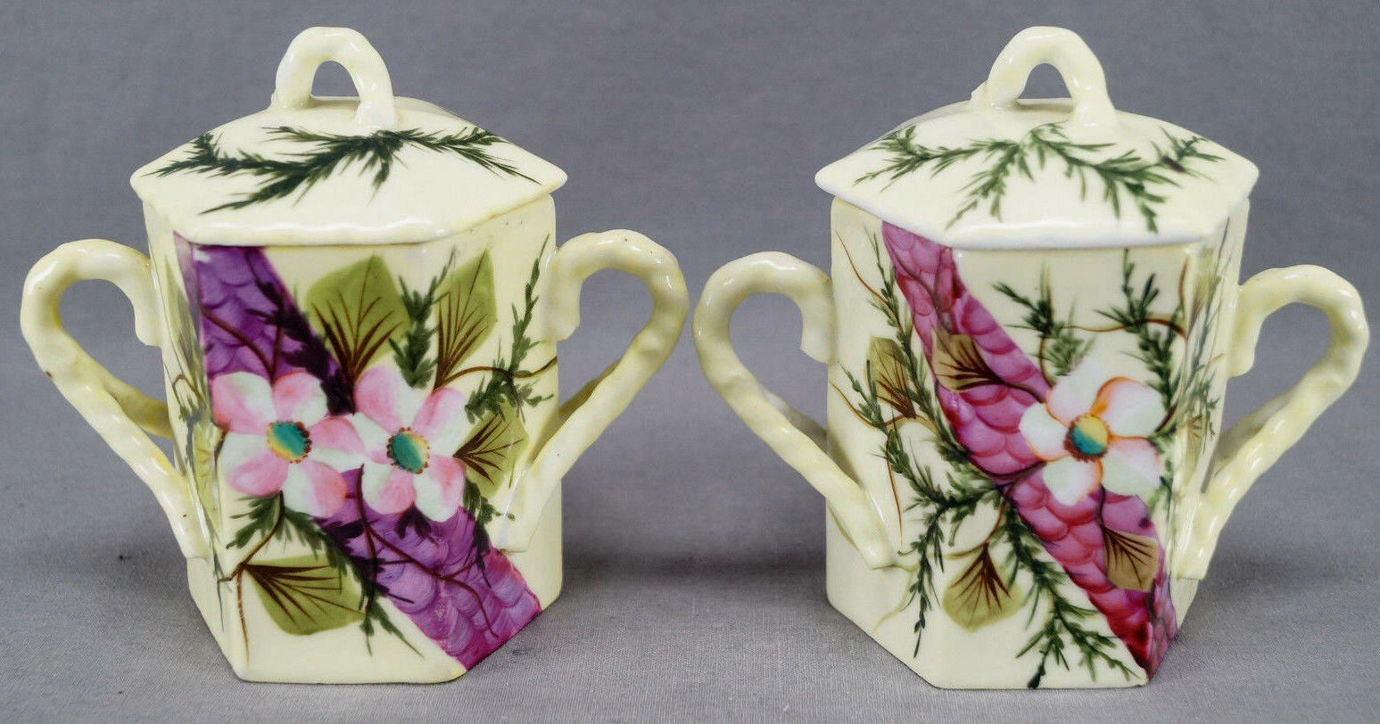 Pair Of Es Prussia Hand Painted Aesthetic Cherry Blossoms & Yellow Jars C. 1880